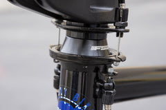 Sunday Forecaster Park - Maca Perez Grasset Signature (Gloss Black with 20.5" tt)