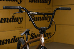 Sunday Primer (Matte Dark Brown with 21" tt in RHD)