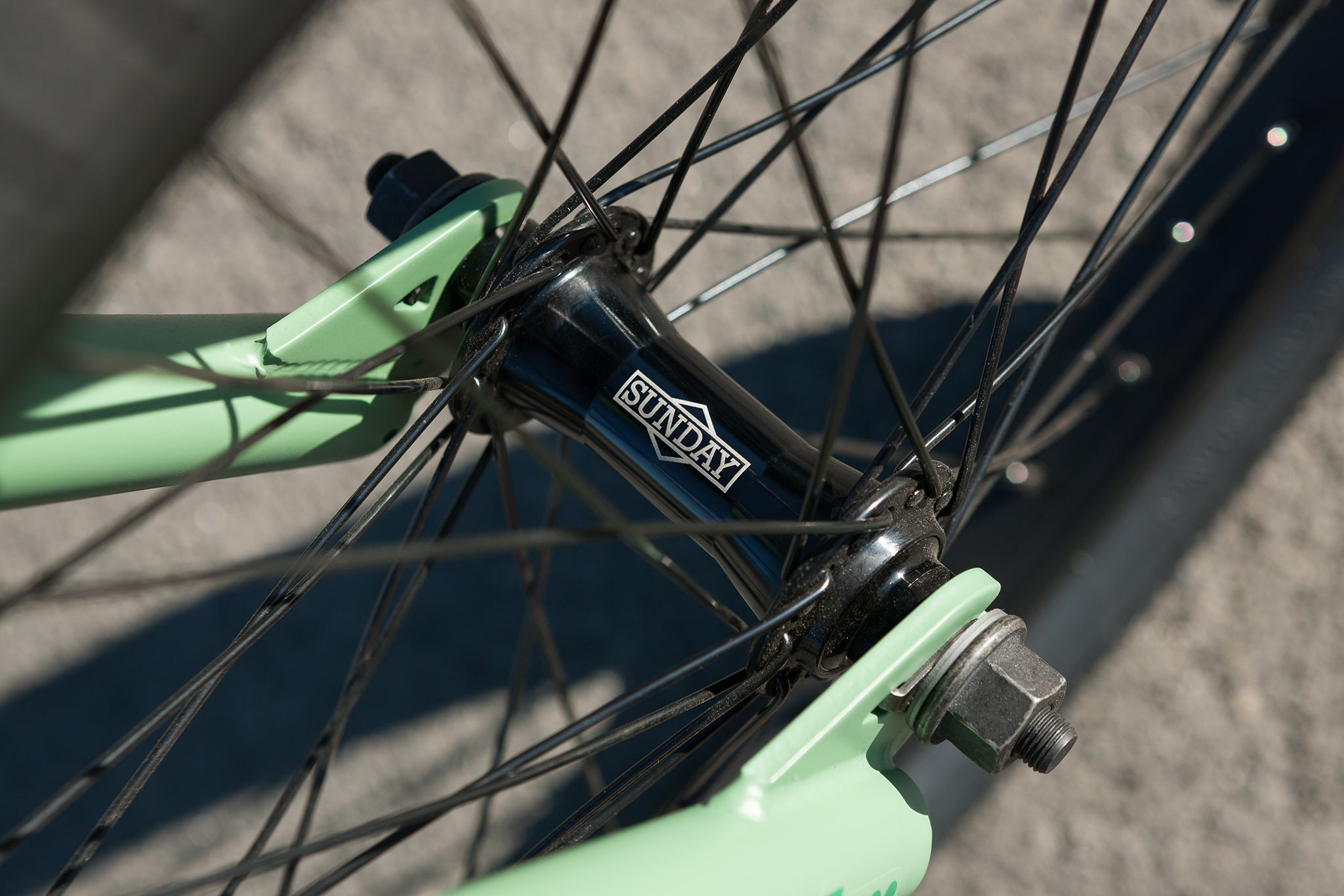 Sunday Scout (Matte Sage Green with 20.75