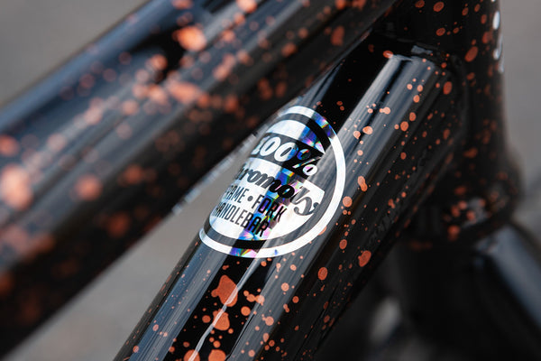 Sunday EX - Erik Elstran Signature BMX Bike – Bicycle Warehouse